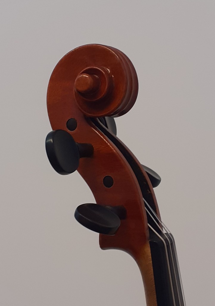 violine-maggini-klein-schnecke-schraeg-seitlich